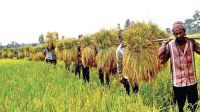 উত্তরাঞ্চল: কৃষির উন্নয়নে ৩ হাজার কোটি টাকার তহবিল গঠন 