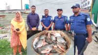 সোনারগাঁওয়ে অভিযানে ২৫ কেজি নিষিদ্ধ পিরানহা মাছ জব্দ