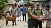 ছাগল চুরির ঘটনায় দুজন আটক, ‘লাখ টাকায় পাল্টে গেল হিসাব’