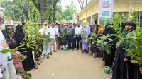 নান কর্মসূচীর মধ্য দিয়ে গ্রামীণ উন্নয়নের অঙ্গীকার