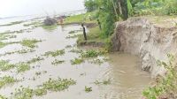 গাইবান্ধায় নদ-নদীর পানি কমছে, নদীভাঙন ঝুঁকিতে শতাধিক পরিবার