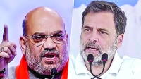 এবার বিরোধীরা কেন অমিত শাহকে নিশানা বানাতে চায়