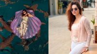 কেয়া পায়েলের চারপাশে ঘুরছে হাঙর