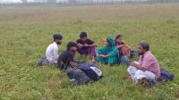 সীমান্তে ৬ জনকে বিএসএফের পুশইন চেষ্টা প্রতিহত করল বিজিবি
