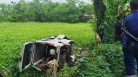 রোগীবাহী অ্যাম্বুলেন্স খাদে, আহত এক