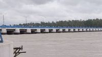  তিস্তায় হু হু করে বাড়ছে পানি, খোলা হলো ৪৪টি জলকপাট