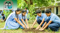 দেশের সব প্রাথমিক বিদ্যালয়ে নতুন নির্দেশনা