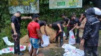 বন্যাকবলিত ১১ জেলায় বিজিবি মোতায়েন