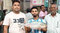 চাঁদপুরে এক ইলিশের দাম ২২ হাজার ৭৯৮ টাকা!