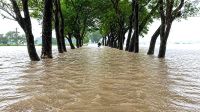 দেশের ৫ জেলায় বন্যার সতর্কতা