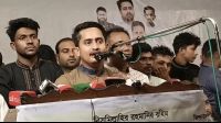 গণভোট অবৈধ হলে স্বরাষ্ট্রমন্ত্রীও অবৈধ, বিএনপি সরকারও অবৈধ’