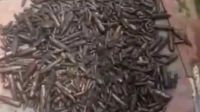চট্টগ্রামে নালায় মিলল দেড় হাজার অকেজো বুলেট