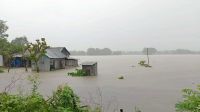 বন্যায় নিরাপদ থাকতে যা করবেন