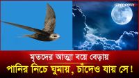 মৃতদের আত্মা বয়ে বেড়ায়, পানির নিচে ঘুমায়, চাঁদেও যায় সে!