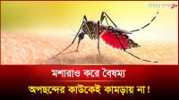 মশারাও করে বৈষম্য, অপছন্দের কাউকেই কামড়ায় না! 