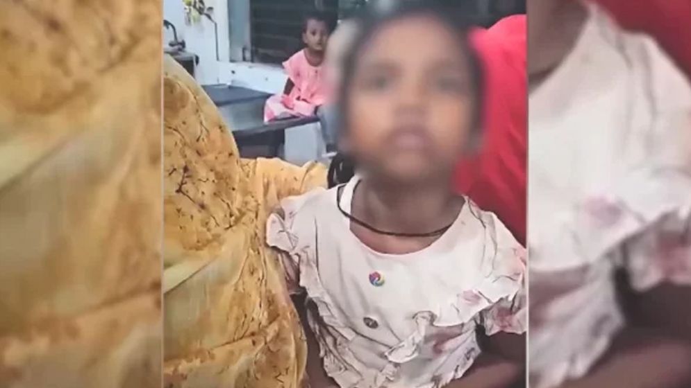 বিড়ালের আঁচড়ের পর শিশুর ‘মিউ মিউ’ শব্দ, জানা গেল আসল কারণ