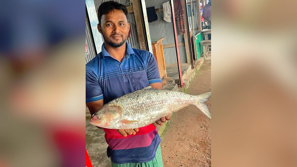 রাজকীয় দামে বিক্রি হলো এক ইলিশ