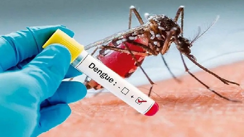  হাম-ডেঙ্গু কেড়ে  নিল আরো ৬ জীবন