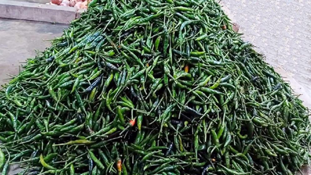 দাম কমাতে কাঁচা মরিচ আমদানির অনুমতি দিল সরকার