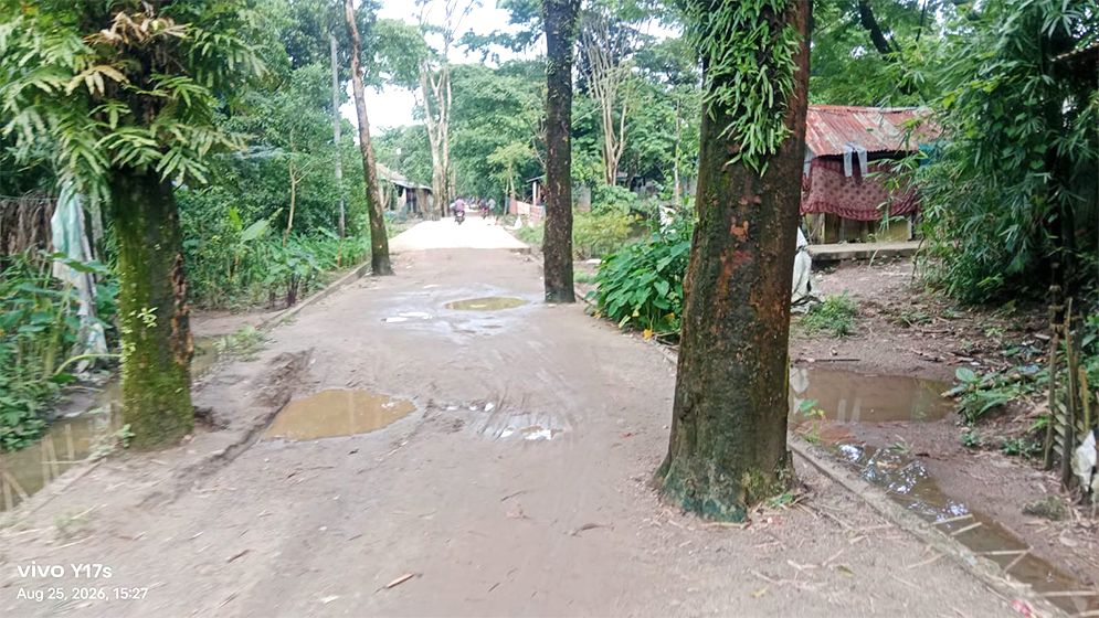 সড়কের মাঝে ৯০ গাছ রেখেই ঢালাই