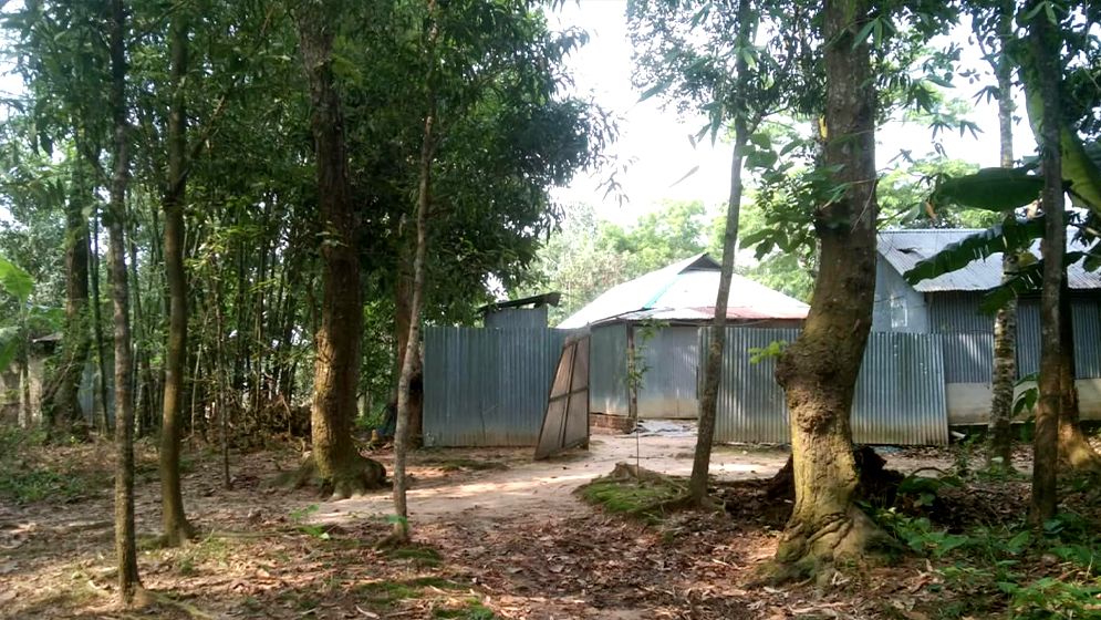 সংরক্ষিত বনভূমিতে ৩ হাজার ঘরবাড়ি, সরকারি হিসাবেই ২ হাজার একর বেহাত