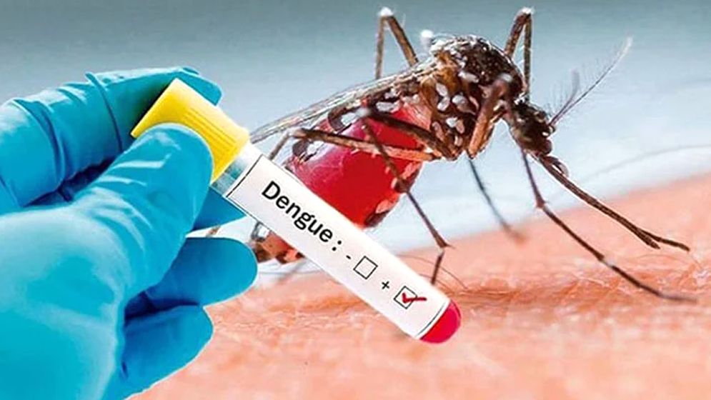 ডেঙ্গুতে প্রাণ ঝরল আরও ২ জনের, আক্রান্ত ৯৯৬  