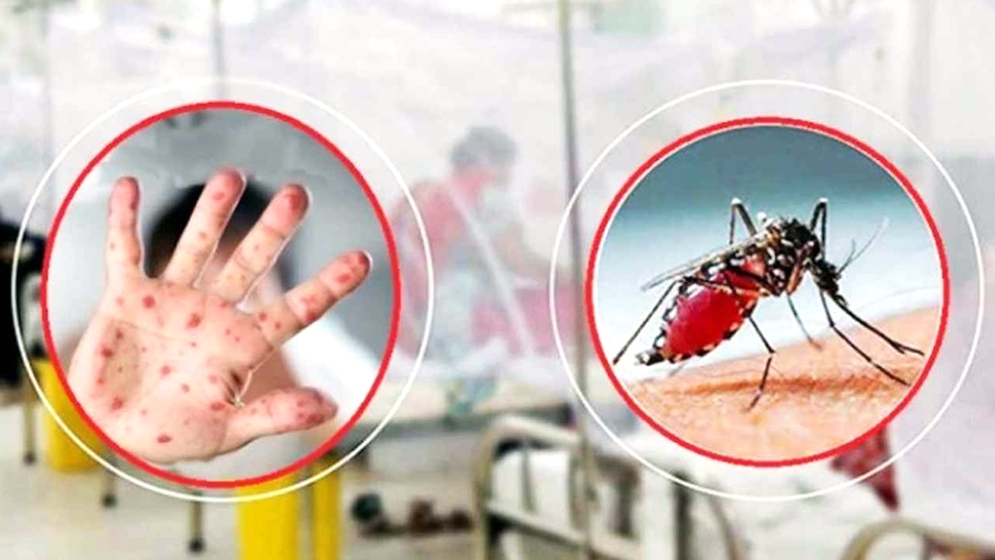 হামে প্রাণহানি ৯৬০, ডেঙ্গুর শিকার ৮৮