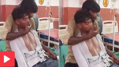 সাপে কামড়ালো ছোট ভাইকে, বাঁচাতে ১৫টি অ্যান্টিভেনম, ১৫০টা চড়!  