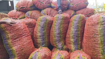 ভারত থেকে এলো কাঁচা মরিচের প্রথম চালান