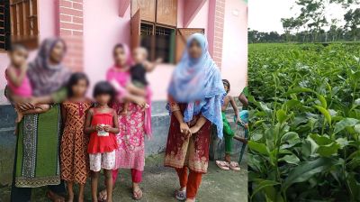 চা-বাগান দখলের অভিযোগে বিধবাকে মারধর, শ্লীলতাহানি