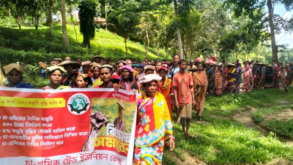 ৫০০ টাকা মজুরিসহ ৪ দফা দাবিতে চা শ্রমিকদের কর্মবিরতি