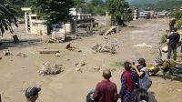 ফের আন্দোলনের ডাক ককরোচ পার্টির