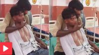 সাপে কামড়ালো ছোট ভাইকে, বাঁচাতে ১৫টি অ্যান্টিভেনম, ১৫০টা চড়!  