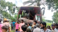 বাস-ভুটভুটির সংঘর্ষে নিহত ৩