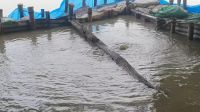 অবৈধ সংযোগে তিতাসের পাইপলাইন ফুটো, গ্যাস অপচয়