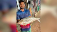 রাজকীয় দামে বিক্রি হলো এক ইলিশ