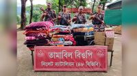 সীমান্তে একদিনে বিপুল ভারতীয় পণ্য জব্দ
