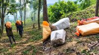 গারো পাহাড়ে মাদক কারবারিদের ‘নিষিদ্ধ এলাকা’, সাংবাদিকদের হত্যার হুমকি