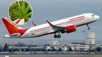 গাঁজা খেয়ে বিমান চালাচ্ছিলেন পাইলট, এরপর যা ঘটল!