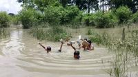 স্কুলে যেতে পাঁচ খাল সাঁতরাতে হয় শিক্ষার্থীদের