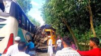 চাঁদপুরে বাস-ট্রাক সংঘর্ষে নিহত ৩  