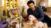 ‘যে কোনও মূল্যে ফিরে আয়’, আবেগঘন বার্তা অঙ্কুশের 