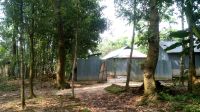 সংরক্ষিত বনভূমিতে ৩ হাজার ঘরবাড়ি, সরকারি হিসাবেই ২ হাজার একর বেহাত