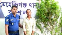 লিজ নেওয়া ঘেরে গাঁজা চাষ, পুলিশের অভিযানে ধরা