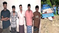 ১৬ বস্তায় ৯০০ কেজি ঘোড়ার মাংস, তারপর যা হলো