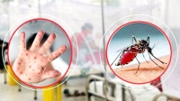 হামে প্রাণহানি ৯৬০, ডেঙ্গুর শিকার ৮৮