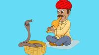 সাপকে খেলার প্রশিক্ষণ দিতে গিয়েই প্রাণ গেল সাপুড়ের