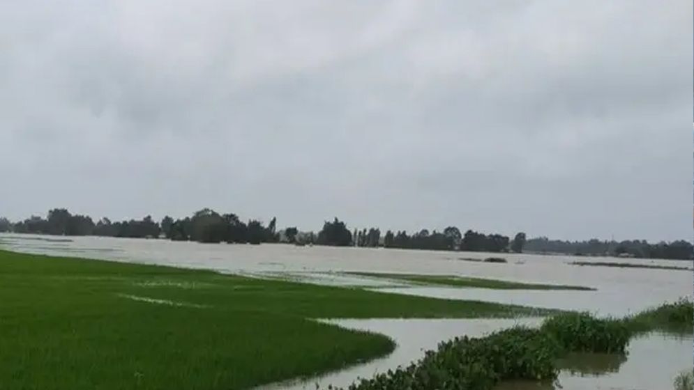 তিস্তার পানি বেড়ে ঢুকছে ঘরবাড়িতে