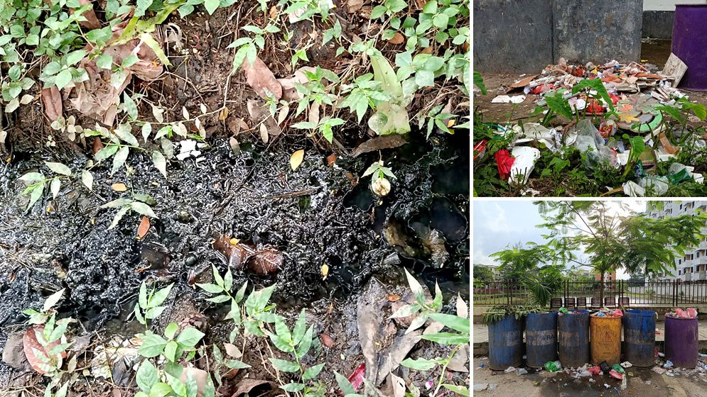 মশার উপদ্রবে অতিষ্ঠ নজরুল বিশ্ববিদ্যালয়ের শিক্ষার্থীরা, বাড়ছে ডেঙ্গু আতঙ্ক