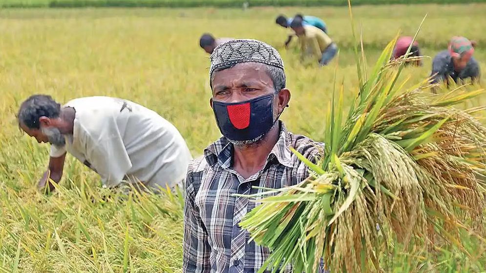 ১৪ লক্ষাধিক কৃষকের সুদসহ কৃষিঋণ মওকুফ
